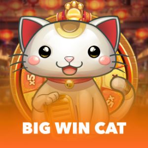 Big Win Cat